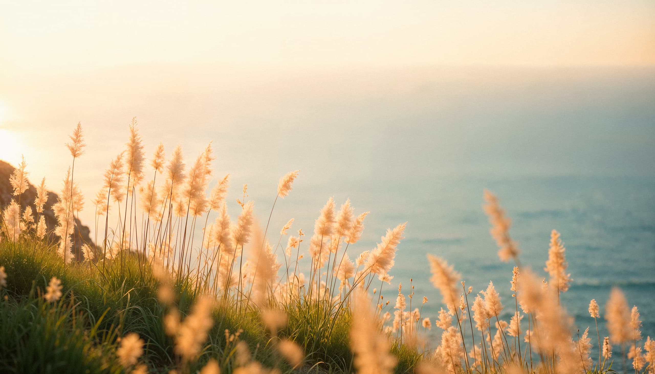 Coastal Sunset Grass